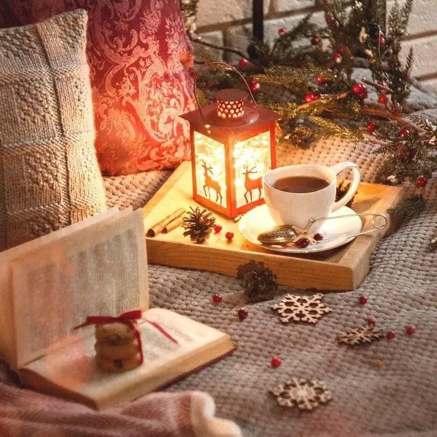Чтение зимним вечером. Новогодний уют. Зимний уют. Уютный новый год. Уютная зима.