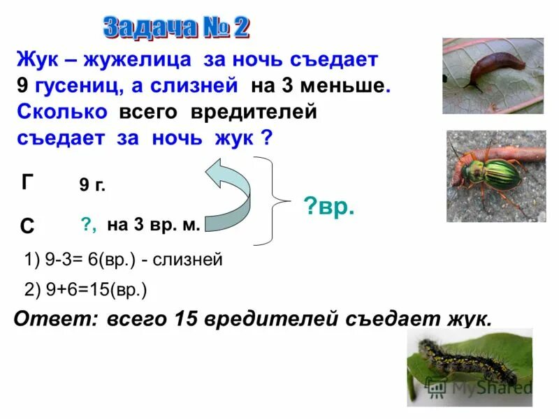 Какое число при счете называют перед числом