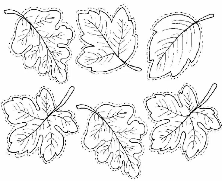 leaves.jpg (image) Шаблон листа, Листья, Трафарет листа