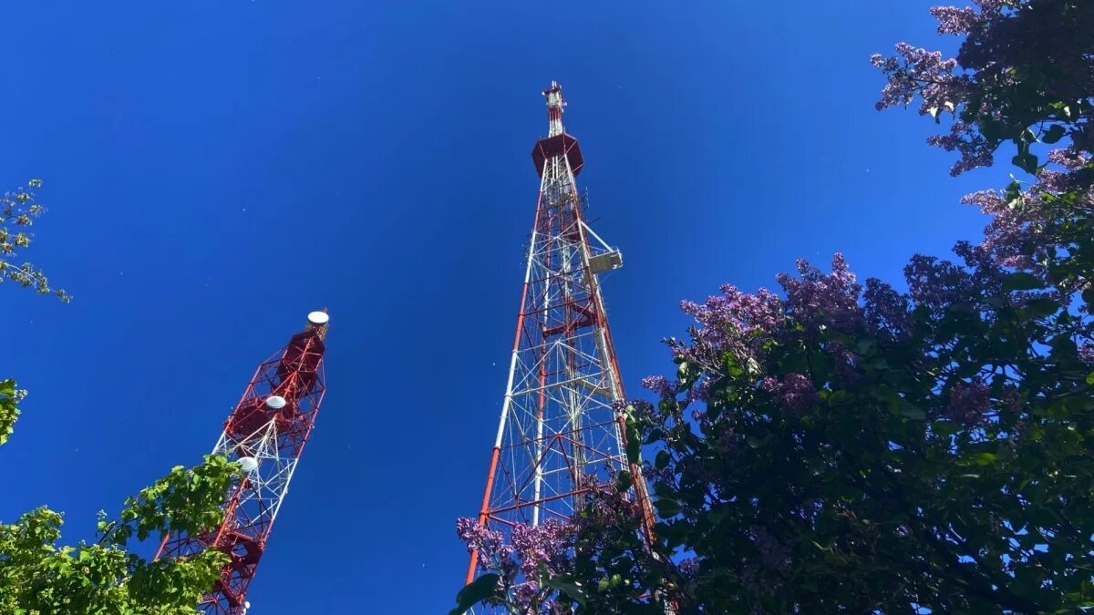 Телепрограмма самара 20 цифровых. Программа передач. Программатили передач. Программа телепередач. Программы телевизионных каналов.