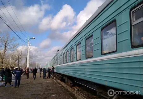 Новосибирск ташкент поезд