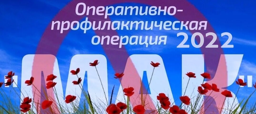 Оперативно профилактической операции мак. Операция мак листовки.