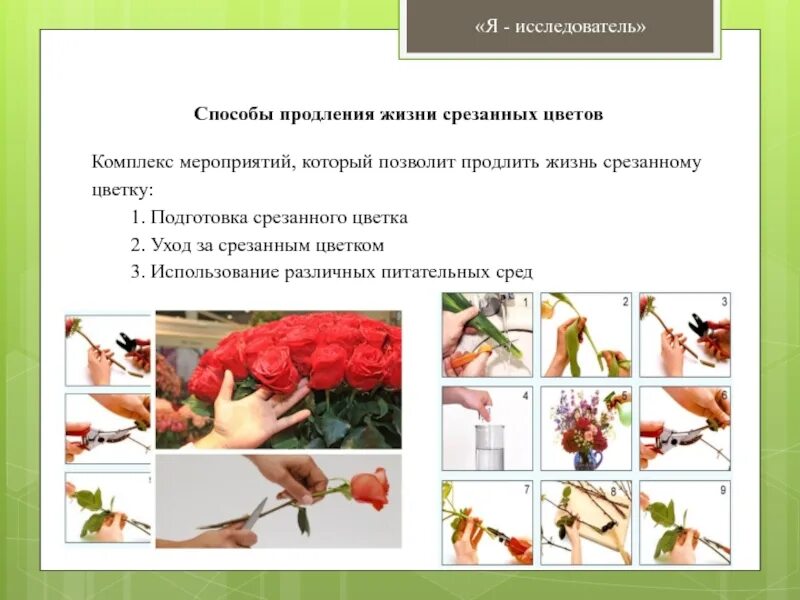 Способы продлить жизнь