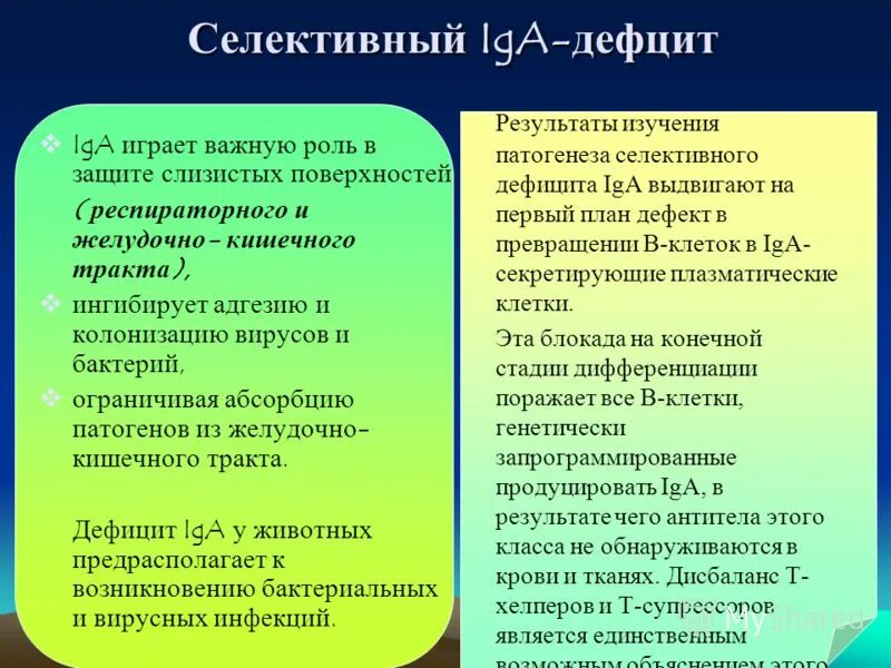 Обусловлена выпадением триплета характеризуется перестройками. Селективный иммунодефицит iga. Селективный дефицит iga патогенез. Селективный дефицит iga механизм. Селективный дефицит iga клинические проявления.