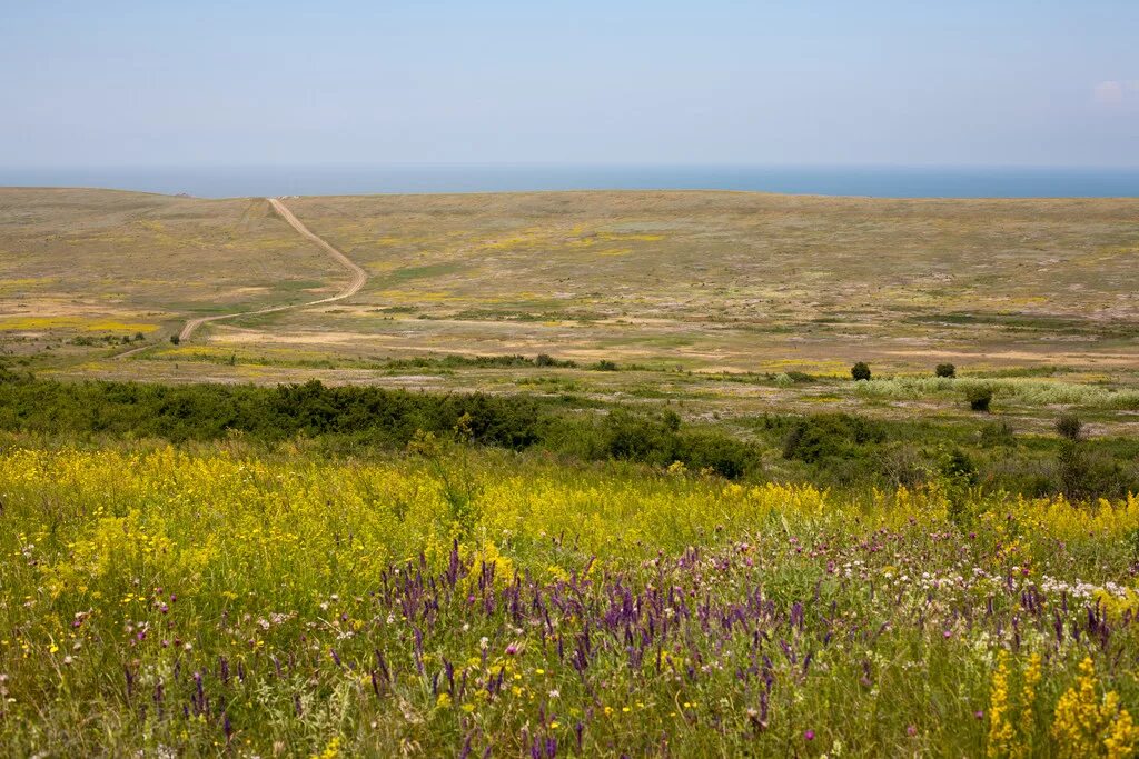 крымские степи. перекопские степи крым. равнинно степной крым. крымские степи. аккерманские степи крым.
