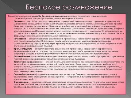 Полиэмбриония размножение