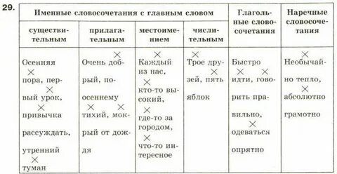 Племя словосочетание