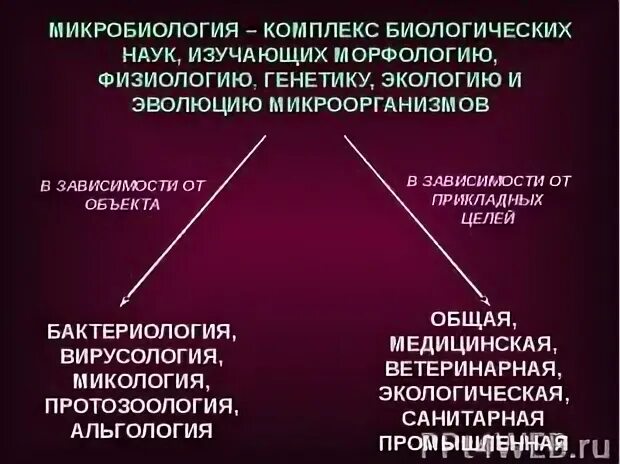 Микробиолог как связан с биологией 5 класс. Связь микробиологии с другими науками. связь микробиологии с другими дисциплинами. микробиология это наука. микробиология это наука изучающая в биологии.