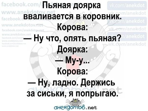 Что анекдотов нет. Анекдотов нет. анекдотов нет.ру. анекдот про пьяную доярку и корову. анекдот про корову.