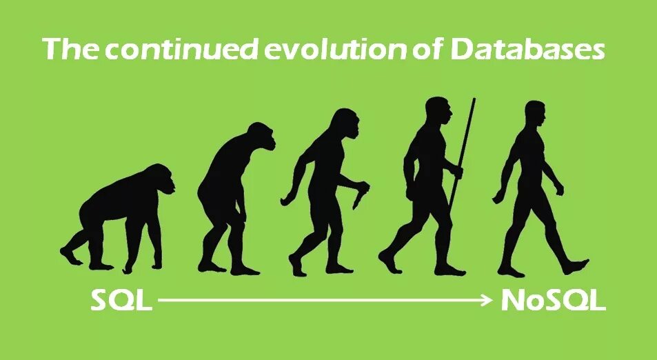 Evolution study