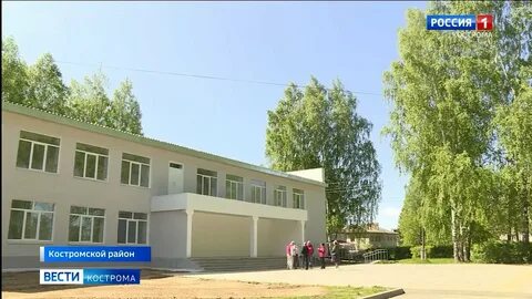 Шунга костромской