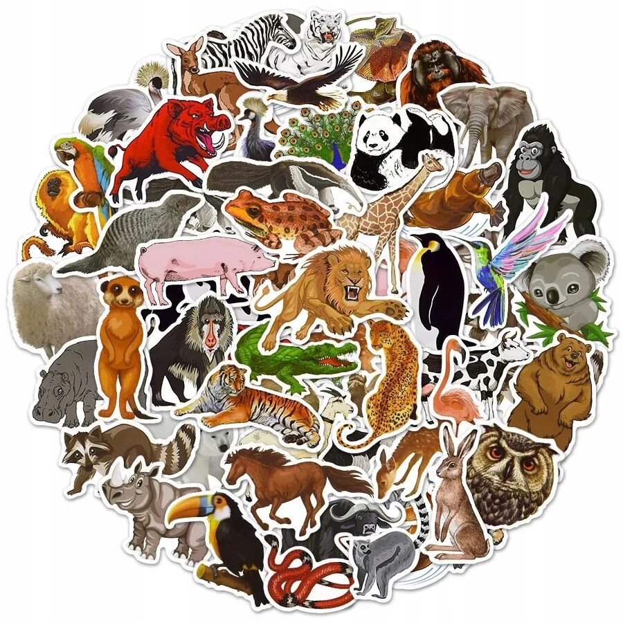 50 animals