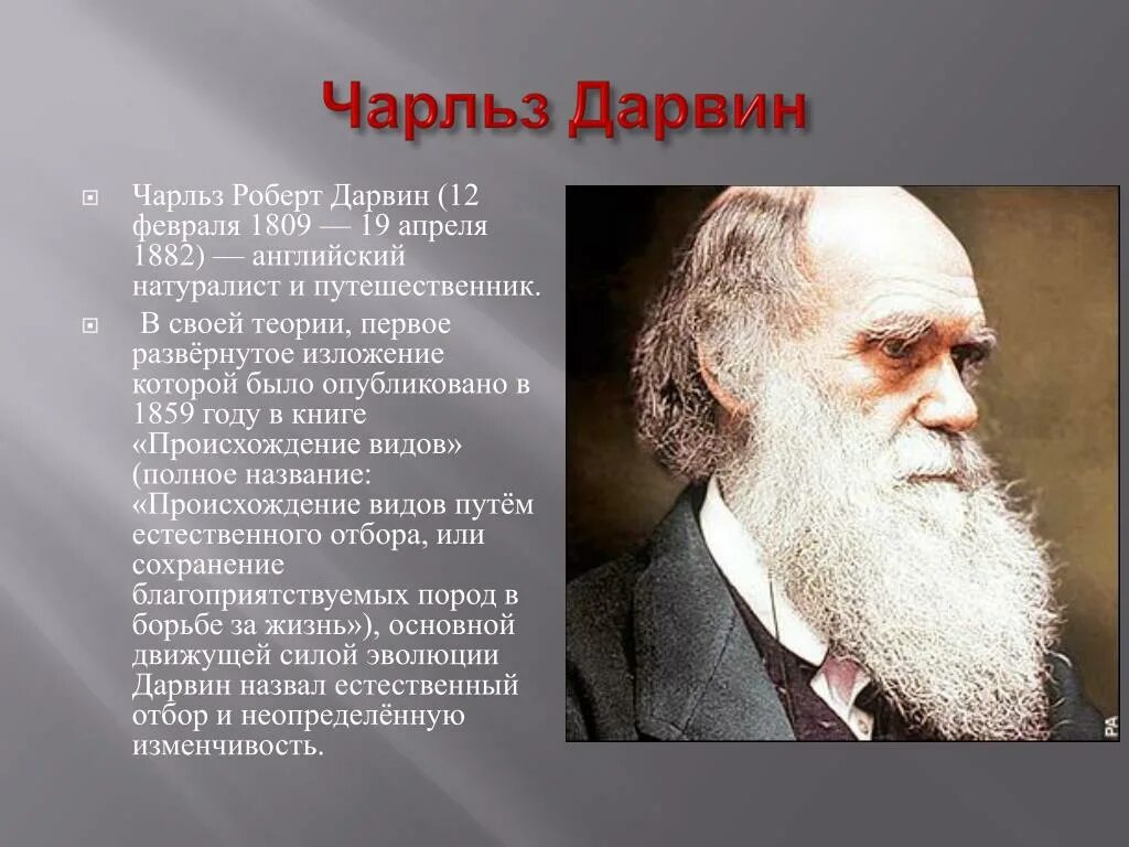 чарльз дарвин достижения в биологии. чарльз дарвин вклад в биологию. 1809 – 19. чарльз дарвин заслуги в биологии. сообщение о дарвине по биологии.