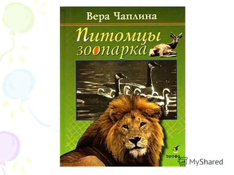 Зоопарк чаплина слушать. Зоопарк чаплина слушать. Чаплина в. Зоопарк чаплина слушать. Зоопарк чаплина слушать.