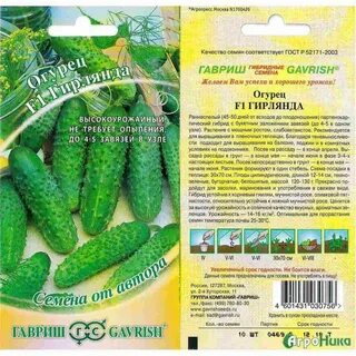 Огурцы сорта гирлянда