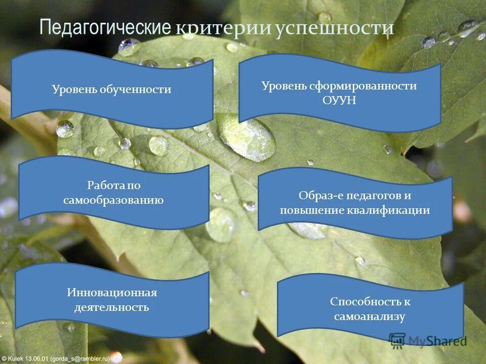 Критерии успешности реализации проекта и ограничения презентация При оценке успешности проектов используются следующие критерии