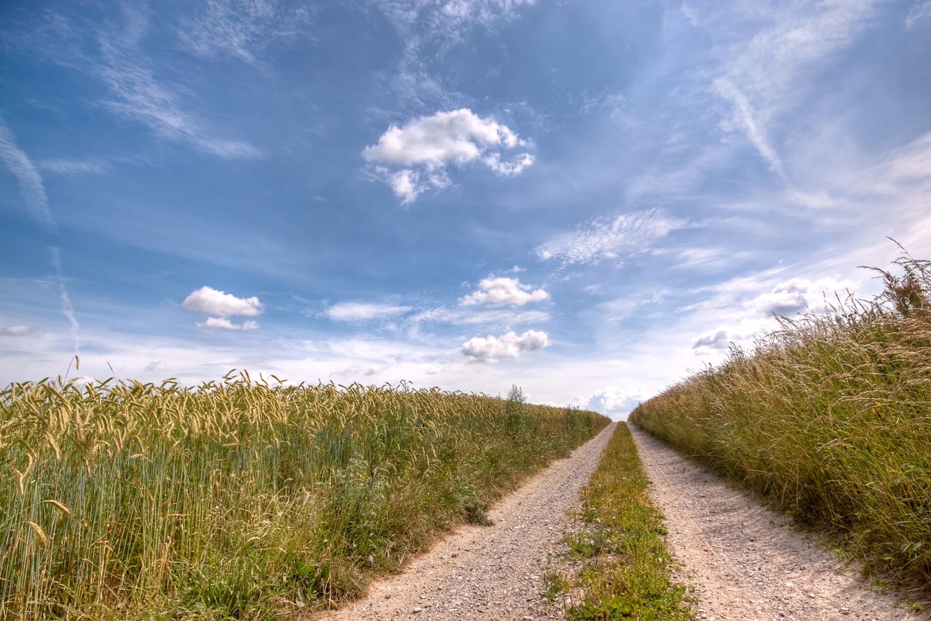 Через поле. Пройти через поле. Дорога вдоль поля. Дорога в поле. Природа дорога проселочная.