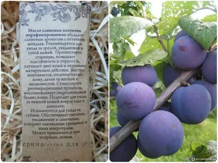 Синильная кислота в косточках