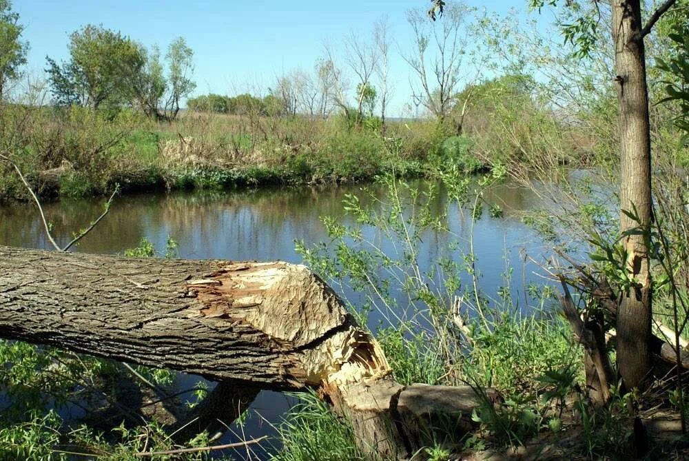 Погода в старом сумароково бугульминского. Новое сумароково бугульминский. Деревня иркен карабаш. Погода новое сумароково бугульминский. Погода в старом сумароково бугульминского.