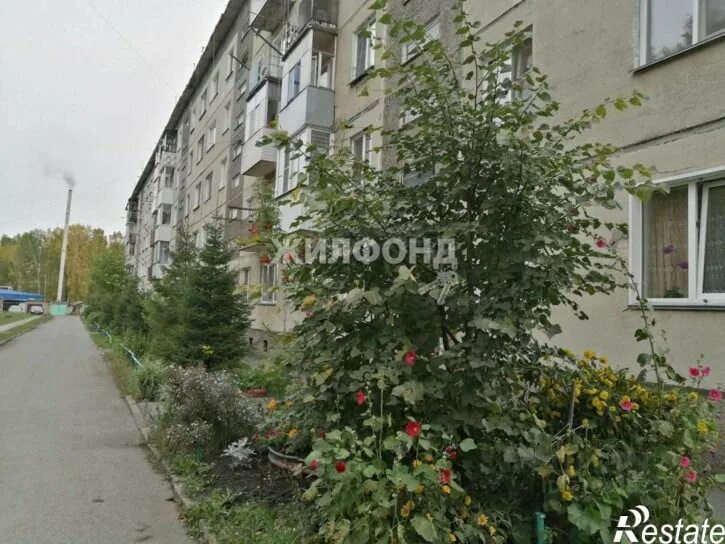 Новосибирская область ярково подгорбунского 3 комнатная квартира. Квартиры ярково тюменской области. Снт медик 7 новосибирская область. Ярково новосибирская область. Ярково ул пионерская д 1.