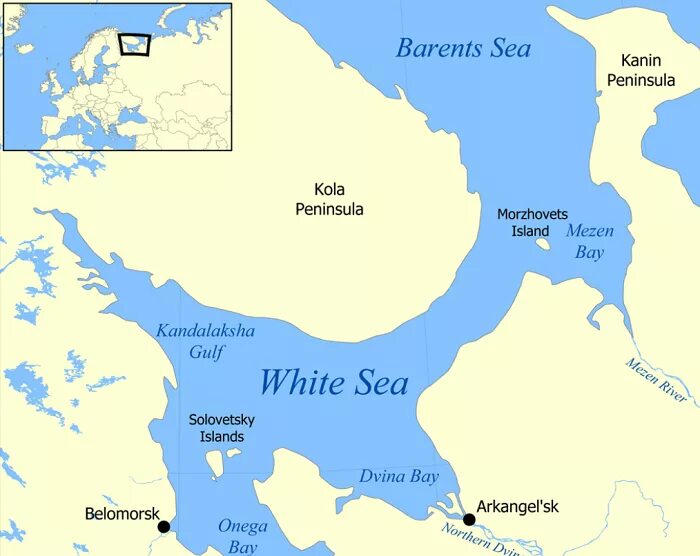 Белое море на карте росси. Губы белого моря. Губы белого моря. Архангельск белое море карта. Онежская губа белого моря на карте.