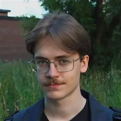 Чеботарев физик. Чеботарев математик.