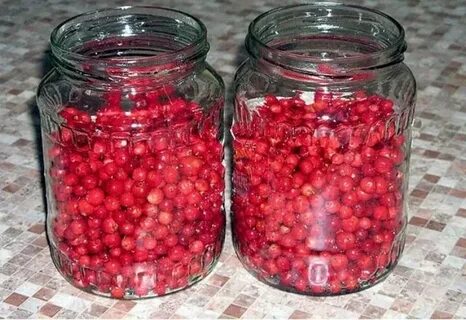 Компот из ягод брусники