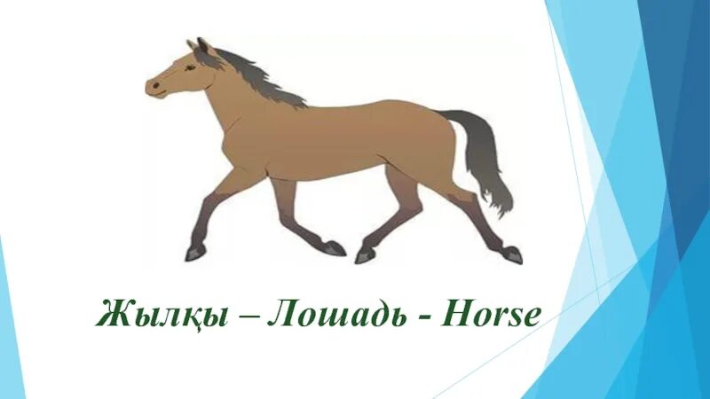 Слово без коня. Молодая лошадь слова. Слово лошадь. Текст про лошадей. Логотип жылқы.