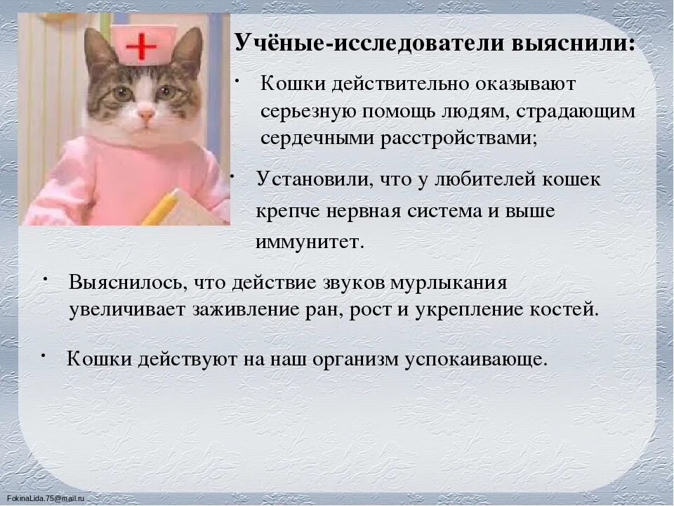 Как действовать кошку. Кошка лечит человека. Кошки лекари. Кошки врачеватели. Кошка лекарь презентация.