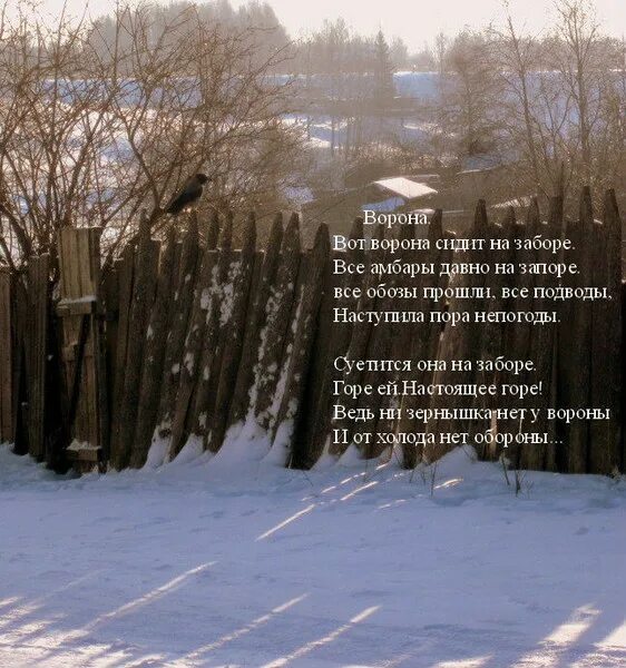 Ворона сидит на заборе. Стихи Николая Рубцова о зиме. Рубцов первый снег. Стихотворение рубцова зимняя песня