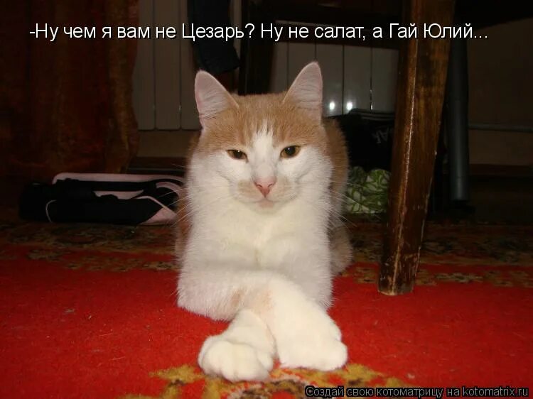 Мемы с человечками. Нельзя просто так взять и мем. Ну не подходит. Смешные человечки с надписями. Понимаю мем.