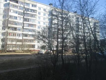 Отзывы рыленкова 40