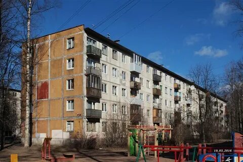 Добавленные 19