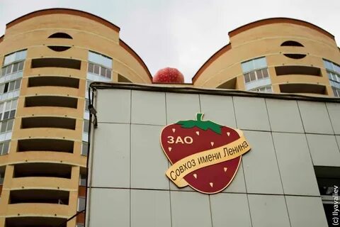 Садко ресторан совхоз имени ленина