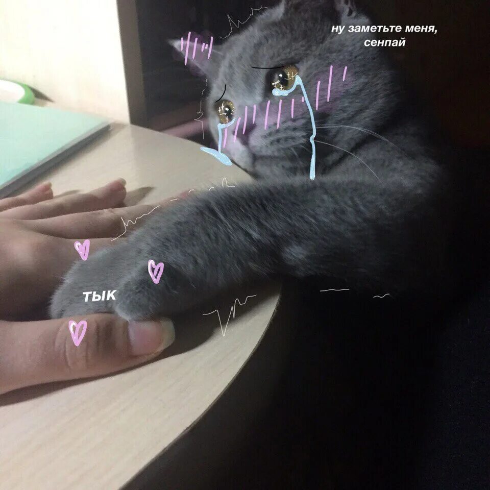 Люблю свою лучшую подругу не путю