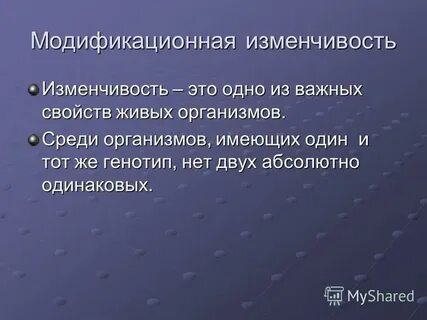 Закономерности изменчивости 9 класс