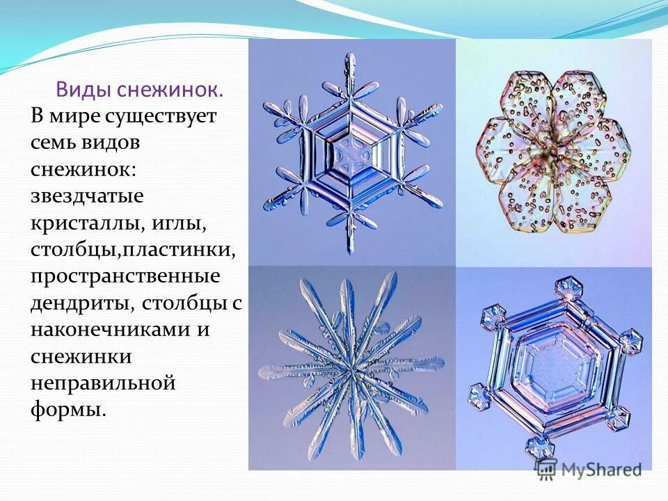 Формы снежинок в природе. Разные снежинки. Разнообразие снежинок. Какого цвета бывают снежинки. Формы снежинок в природе.