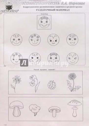 Коррекционно развивающее в старшей группе. Шарохина коррекционно-развивающие занятия в средней группе. Раздаточный материал что это? Шарохина ср гр. Шарохина раздаточный материал старшая группа. Шарохина старшая группа коррекционно-развивающие занятия.