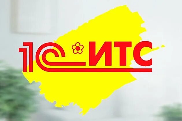 1с кп проф на 12 месяцев