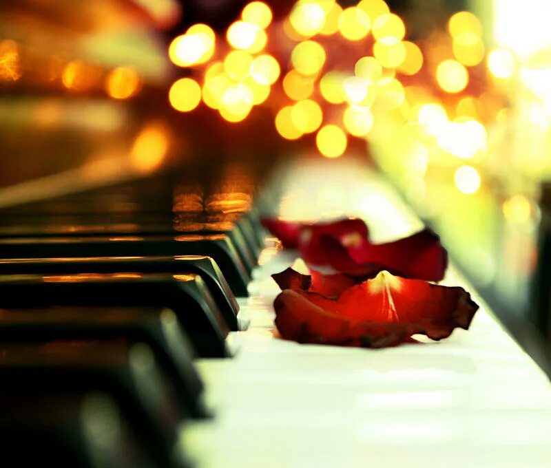 Музыкальное Вдохновение. Музыкальный вечер. Рояль и любовь. Музыкальные картинки. Romance music