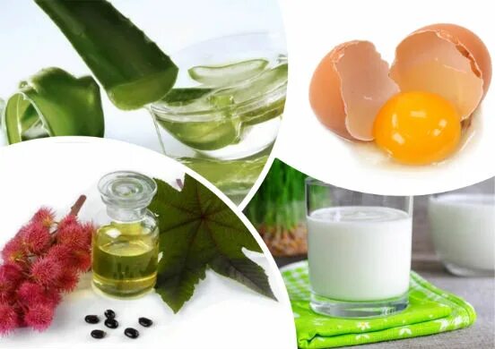 Маска для волос из алоэ. Fructis superfood маска для волос алоэ 390мл(лореаль). Маска для волос с соком алоэ. Алоэ для волос. Маска для волос из алоэ.