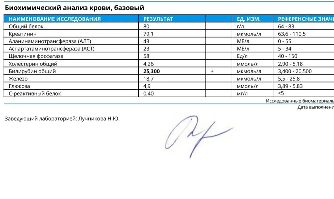 Как понизить билирубин в крови у взрослого. Общий анализ крови показатели билирубина в крови. Биохимический анализ крови высокий билирубин. Анализ крови расшифровка билирубин общий. Анализ, общий анализ крови билирубин..