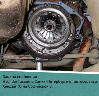 Туксон сцепление