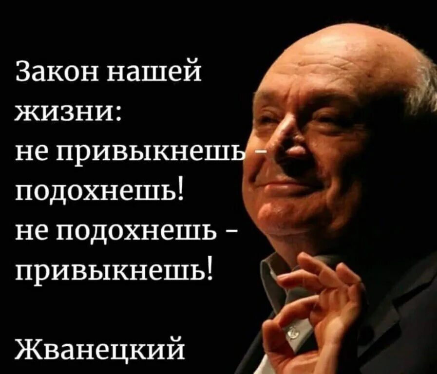 Это мудрое правило в отношении розовского можно. Жванецкий цитаты. Афоризмы Жванецкого. Крылатые высказывания Жванецкого. Высказывание Жванецкого про умных.