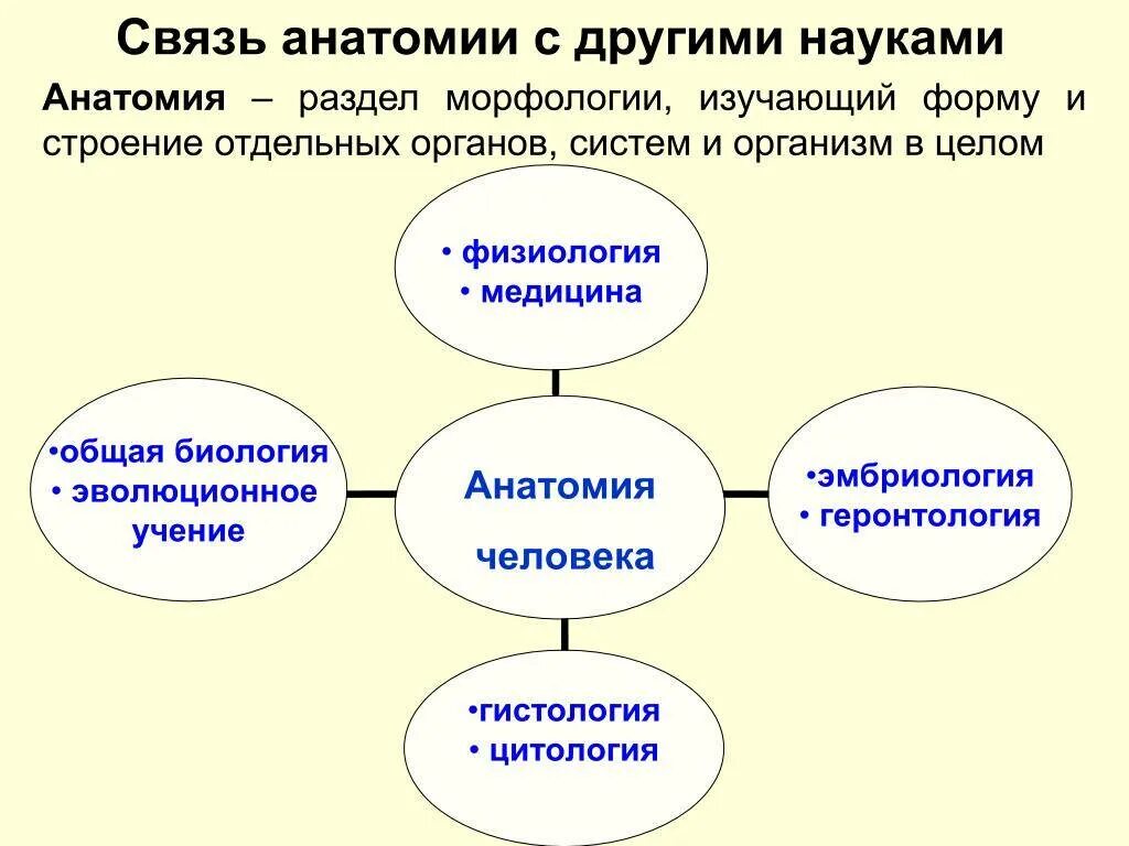 Методы изучающие анатомию