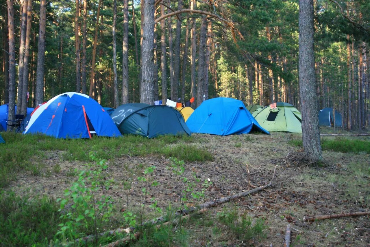 Палаточный лагерь палатки