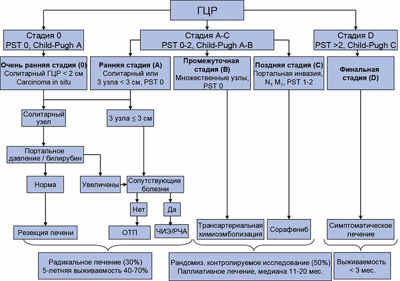 Терапия рака печени. Барселонская классификация ГЦР. ГЦР классификация. Гепатоцеллюлярная карцинома классификация. Барселонская классификация гепатоцеллюлярного.