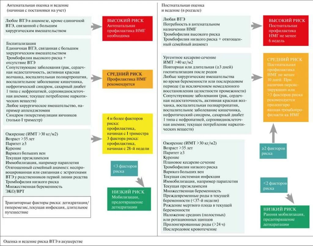 Оценка факторов риска беременности. Факторы риска беременных. Факторы риска при беременности. Факторы риска таблица.