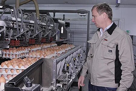 Инская птицефабрика