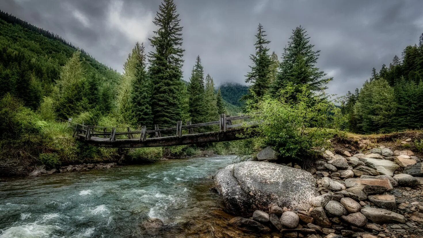 Красивый лес. Озеро марун колорадо. Река в лесу. Монпелье река лес. Озеро горы лес бавария.